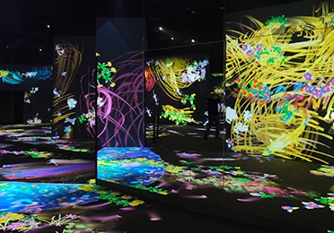 TeamLab Future Park: Jakarta's Interactive Art Experience